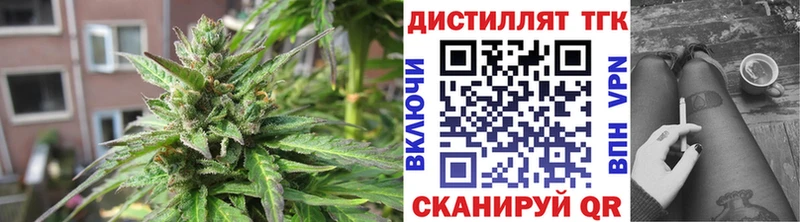 Купить закладки  Саров  Дистиллят ТГК THC oil 