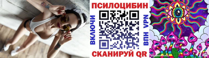 Галлюциногенные грибы Psilocybe  Купить  Саров 
